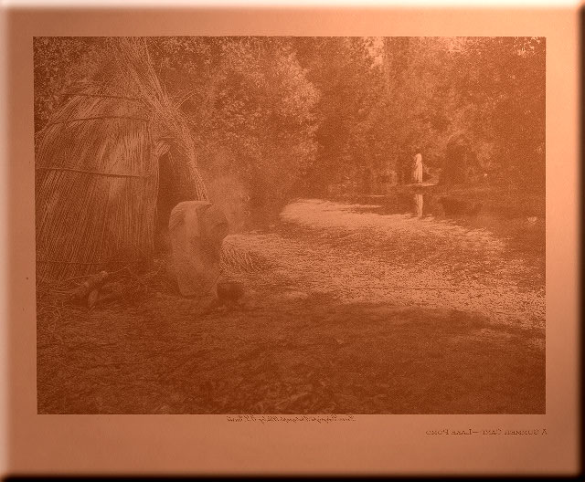 A Summer Camp - Lake Pomo