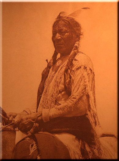 Black Wolf - Cheyenne