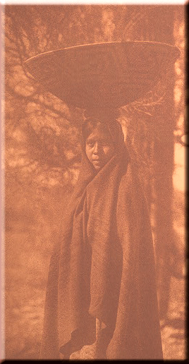 Fruit Gatherer - Maricopa